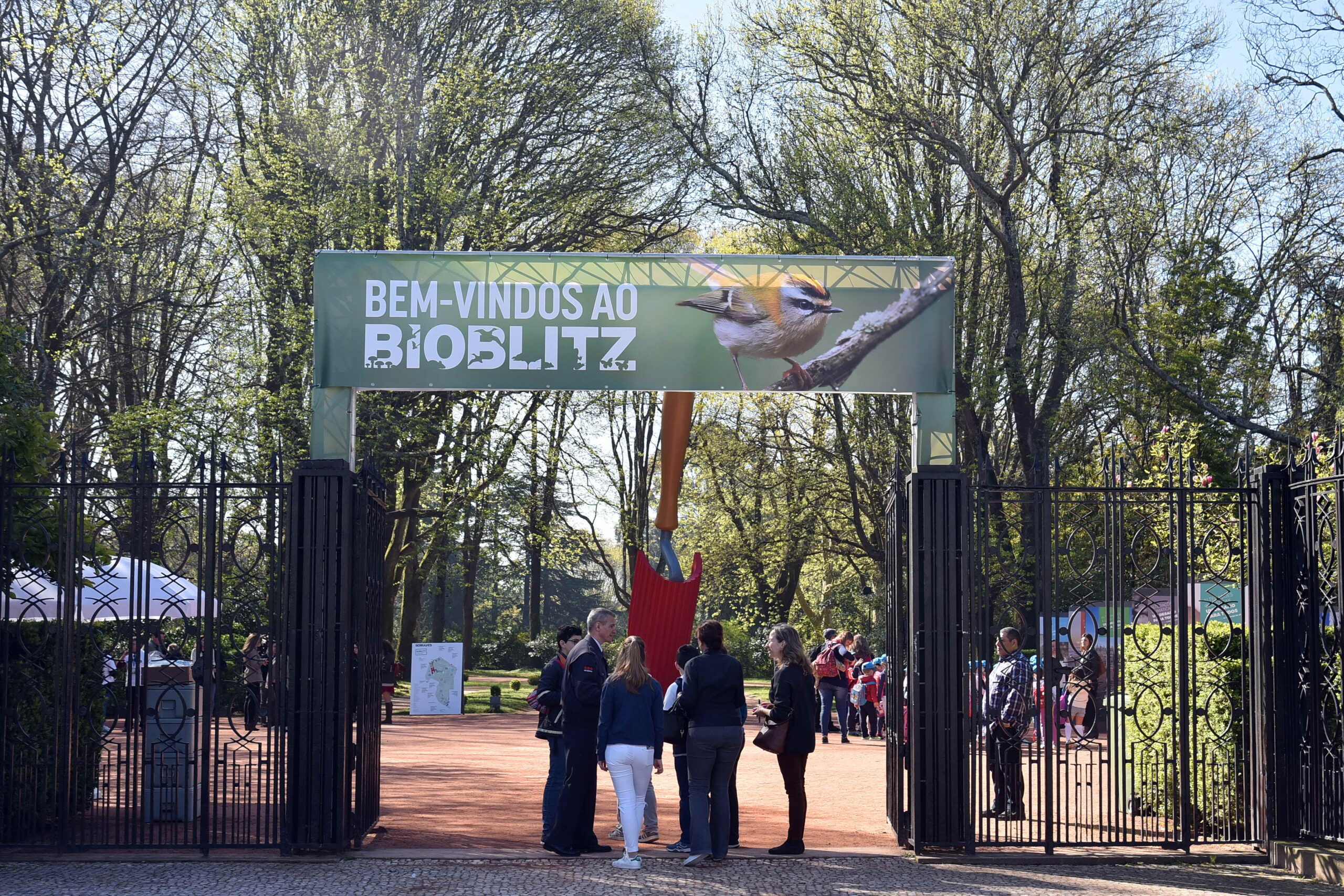Bioblitz serralves